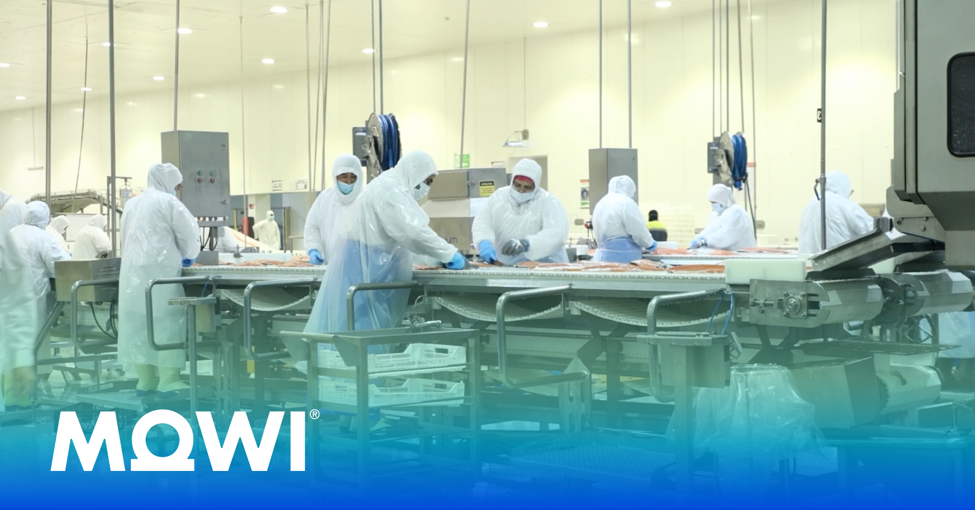 Mowi success story